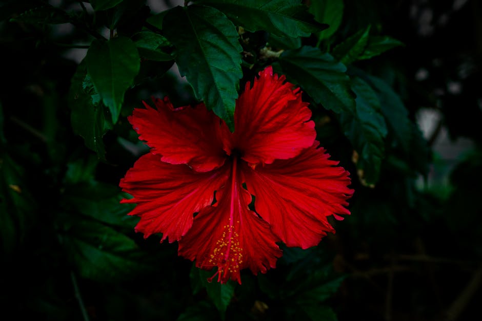 emmagrows-com_a2f357f